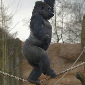 Meet your Posher, Richard